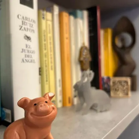 Cozy In The Centre *