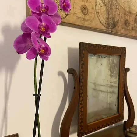 Cozy In The Centre Apartamento